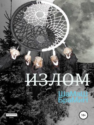cover image of Излом